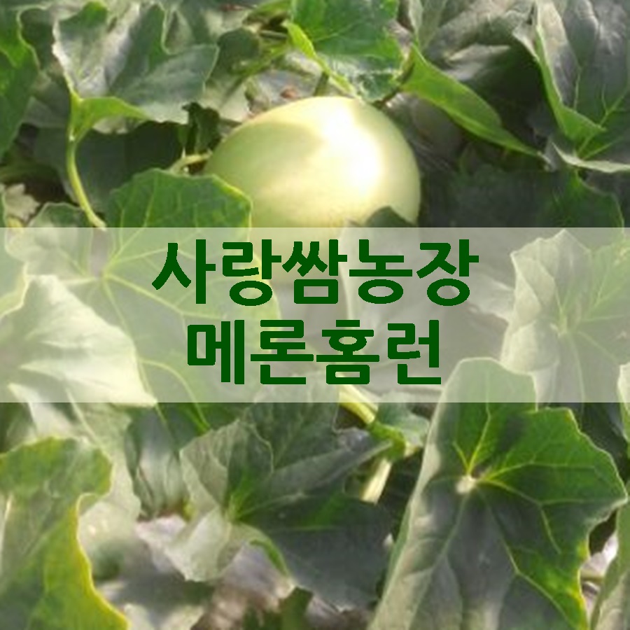 사랑쌈농장