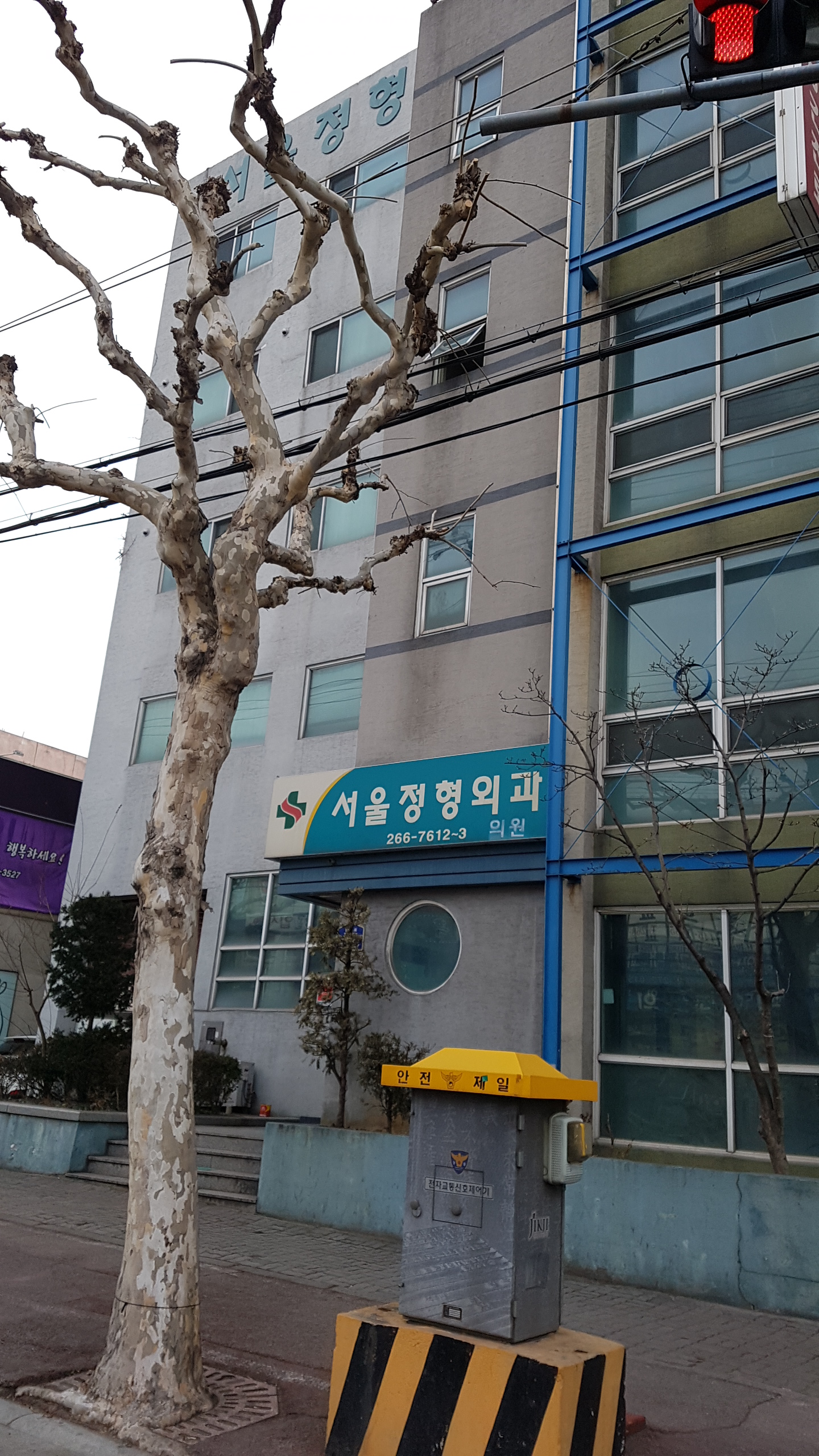 서울정형외과의원