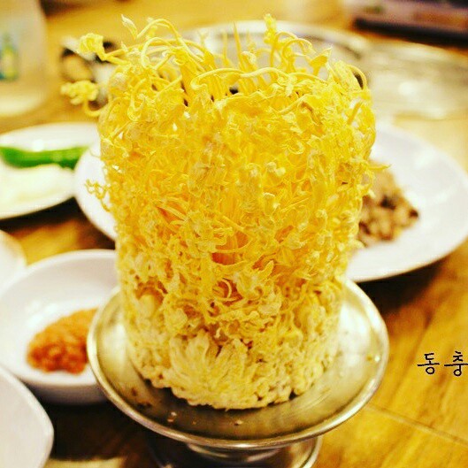 느티나무집