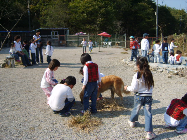 애견돌봄원 4
