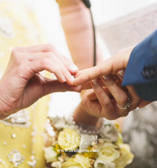 드리다 봄 대표 이미지