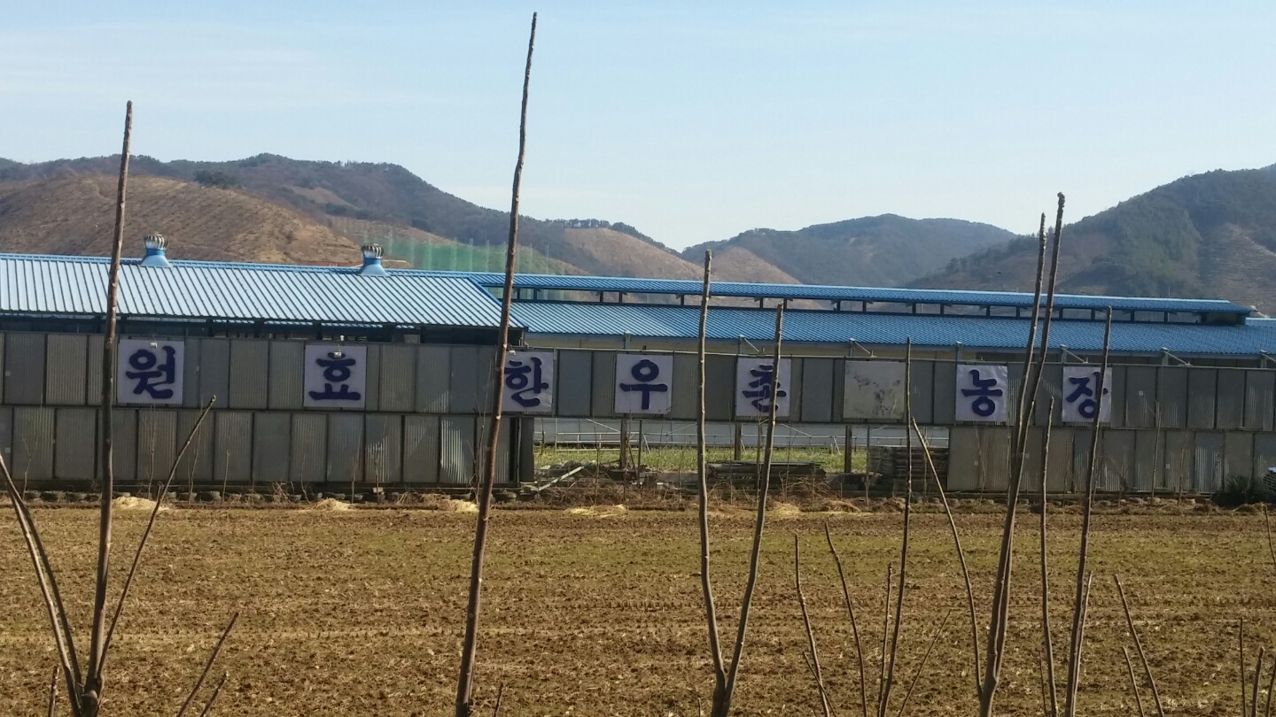 원효한우촌