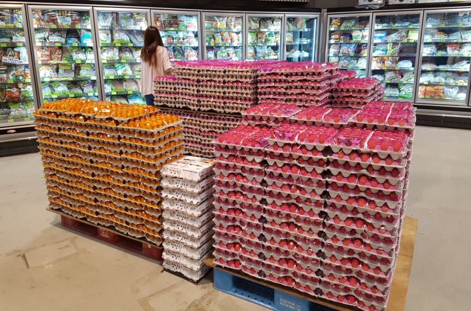 매일계란