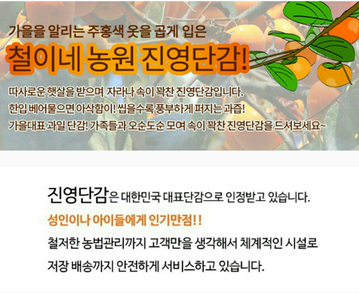 철이네농원 진영단감