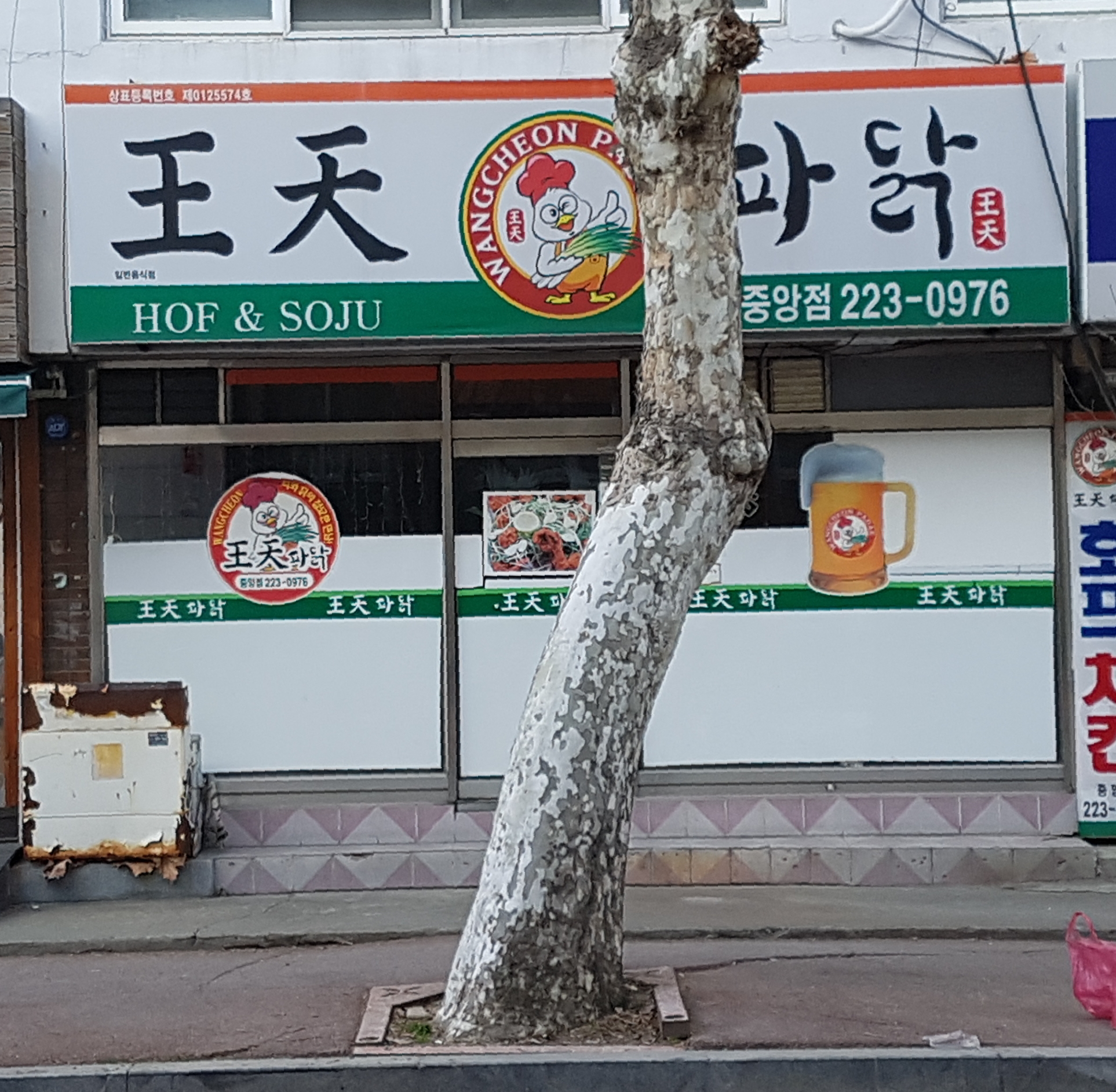 왕천파닭 중앙점