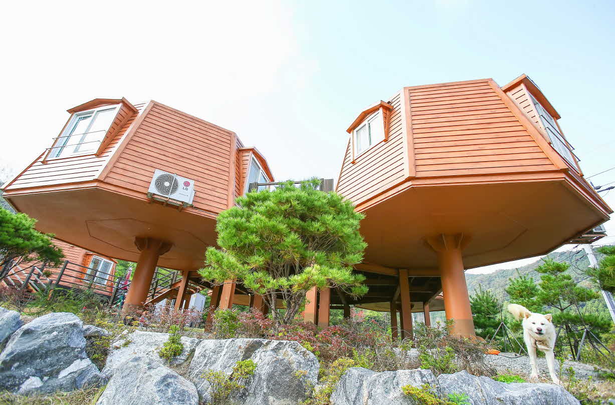 숲정이펜션