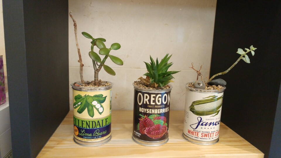 더편한치과의원 대표 이미지