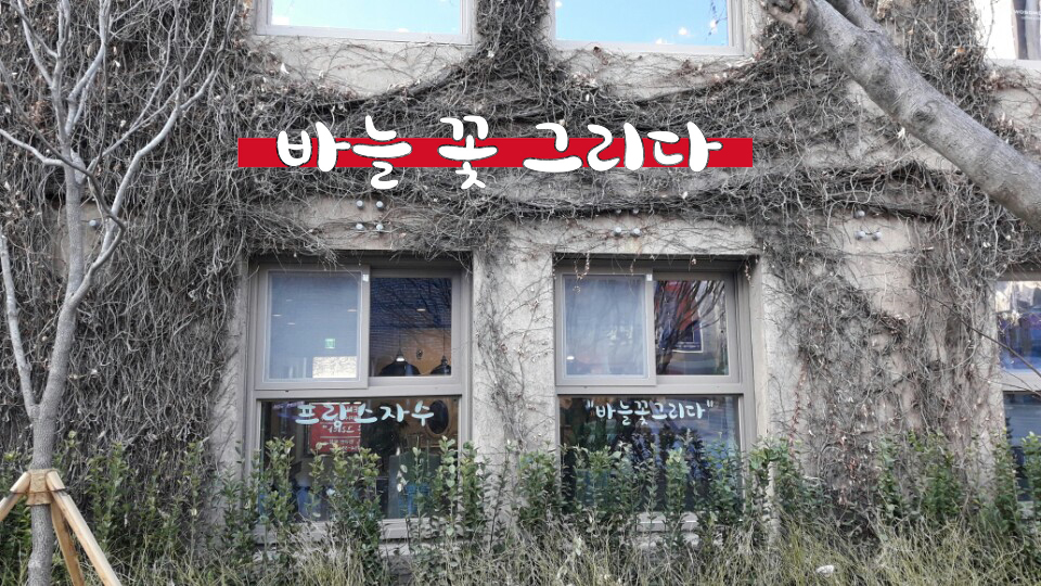 바늘꽃그리다