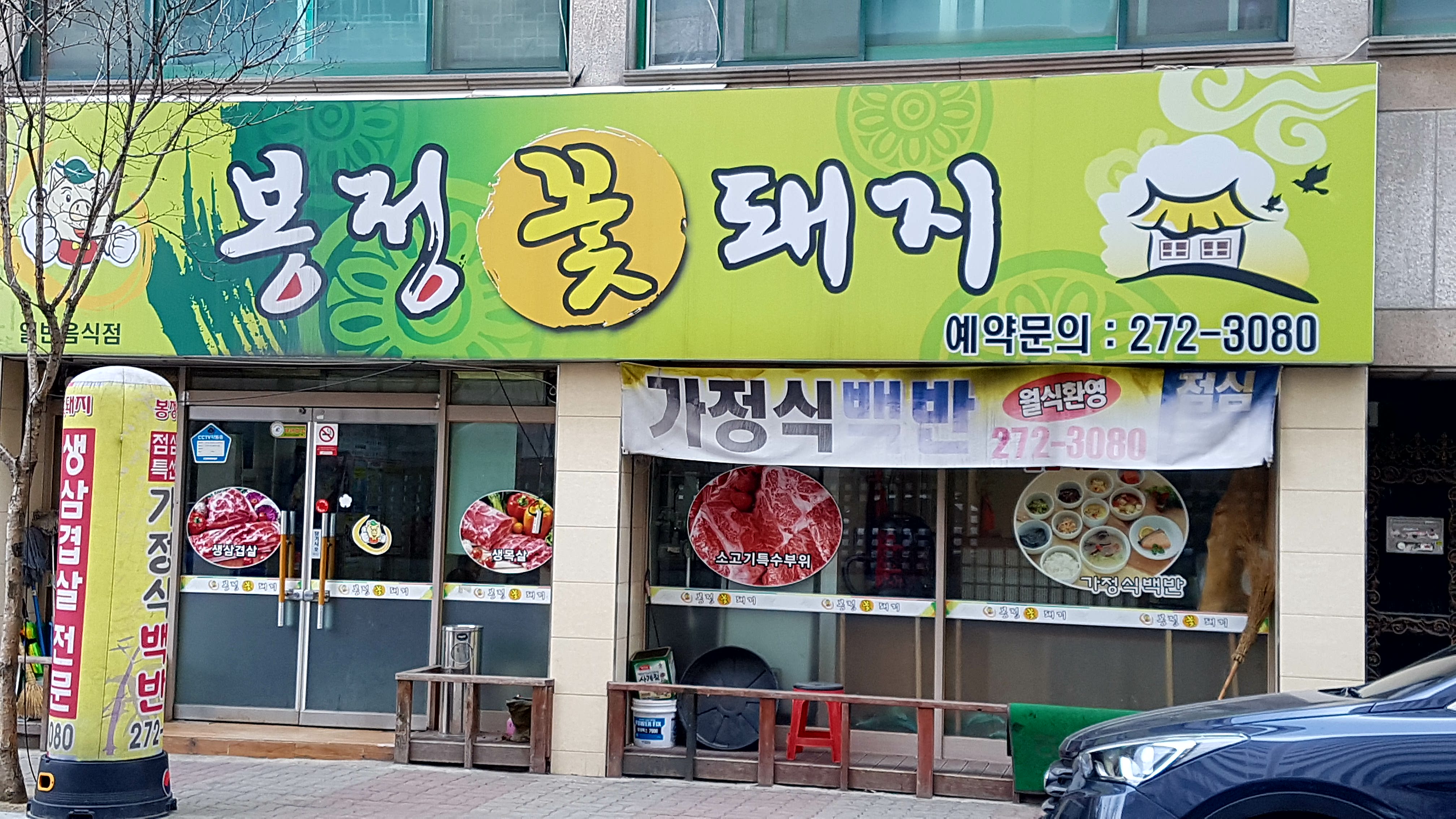 봉정꽃돼지