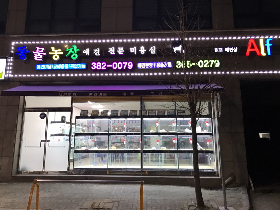 동물농장애견전문미용실