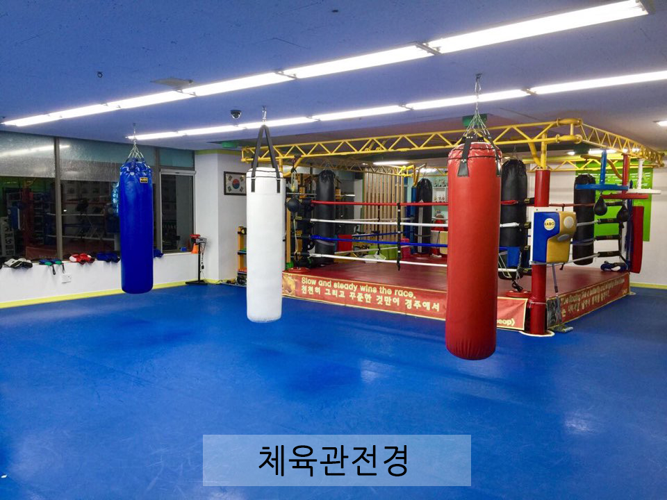 인천 서구 원당대로840번길 복싱체육관 용인대GX복싱 내부 모습 2