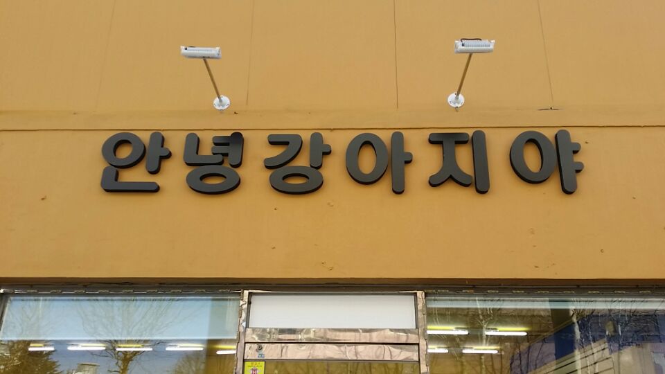 안녕강아지야