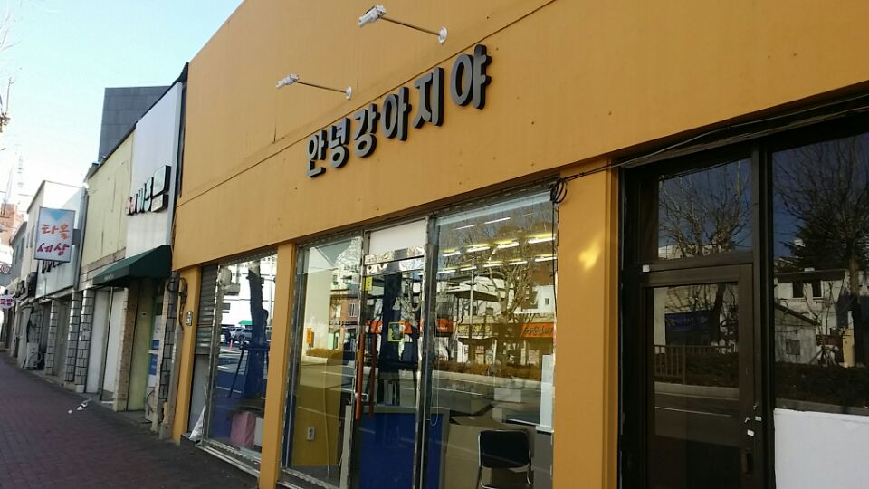 안녕강아지야 대표 이미지