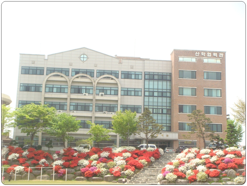 동강대학교 창업보육센터 대표 이미지