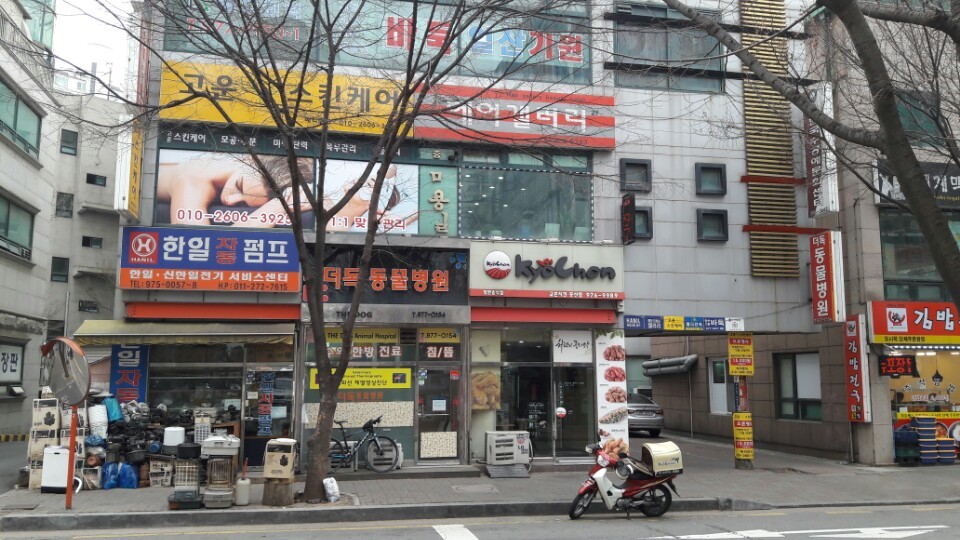 고운스킨케어 대표 이미지