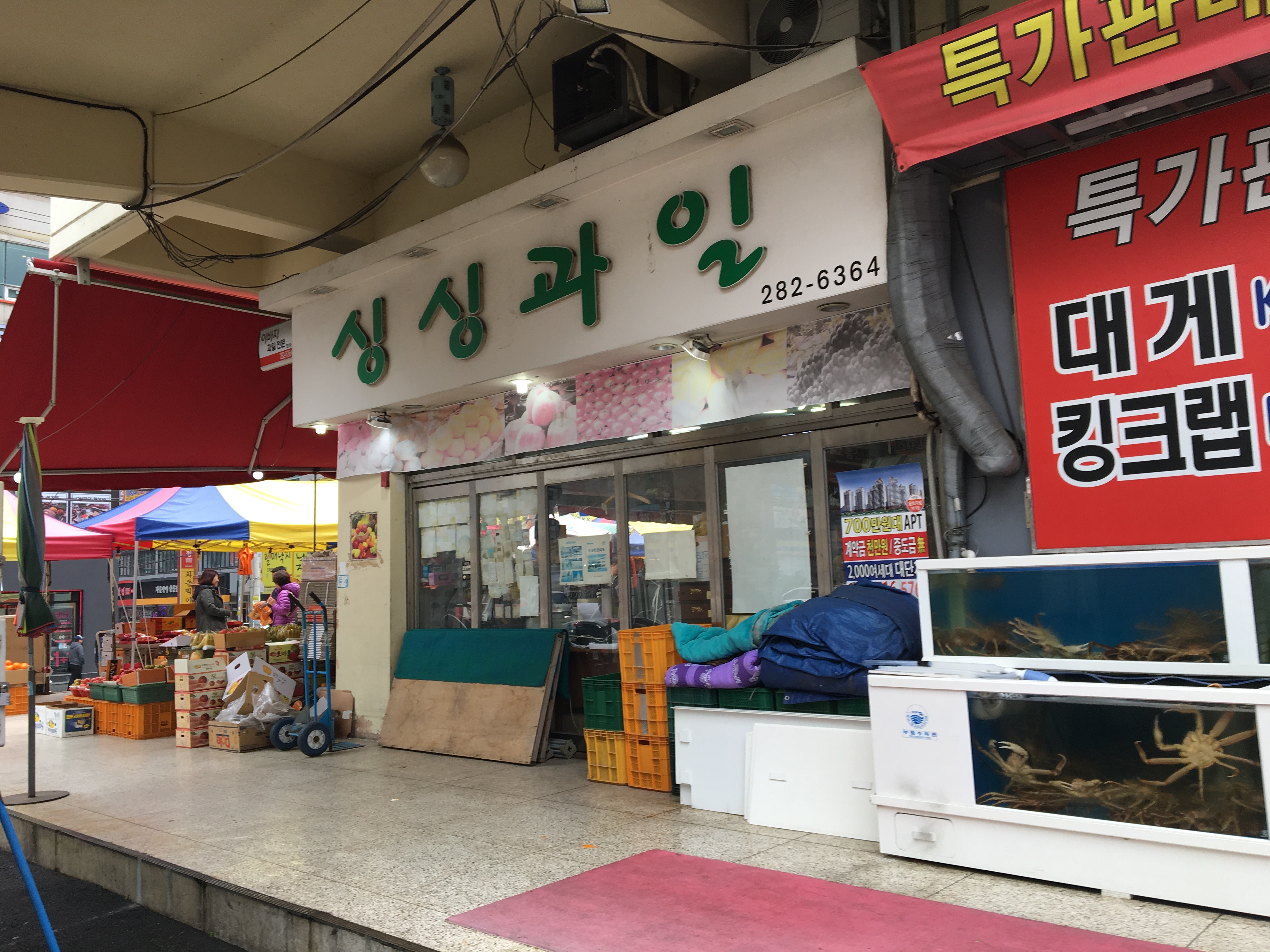 싱싱과일