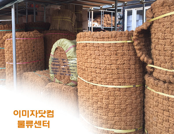 이미자
