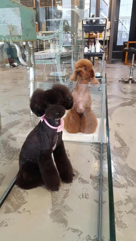 개스타일 대표 이미지