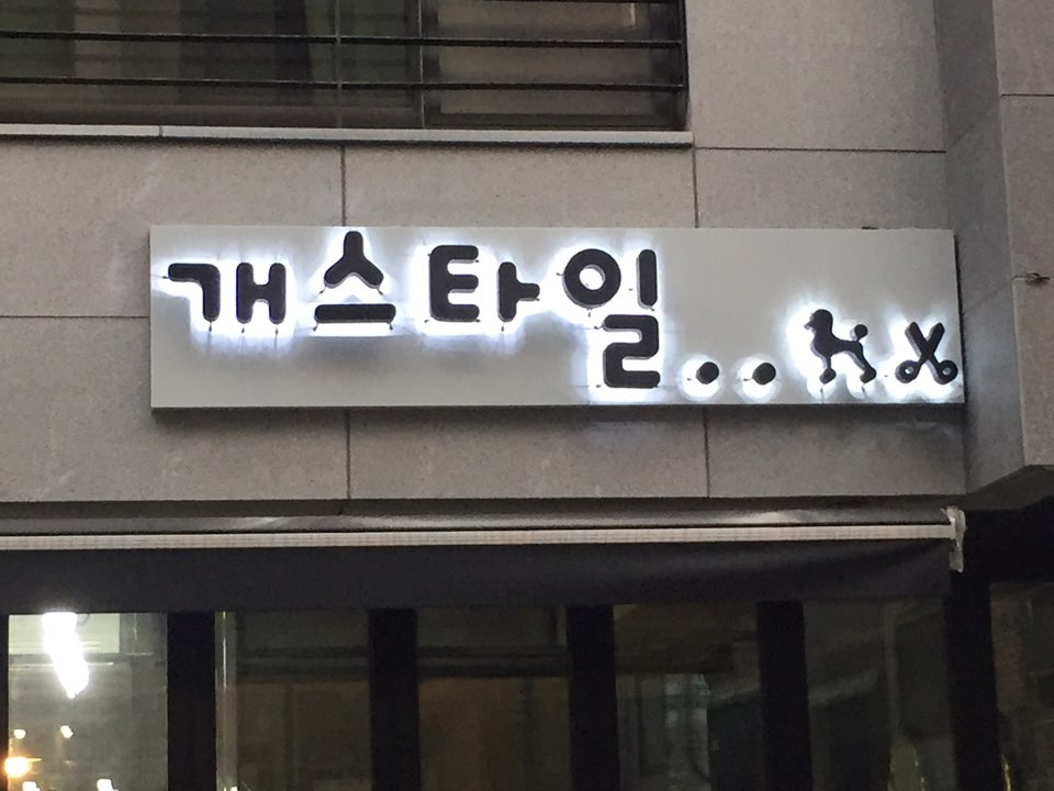 개스타일 대표 이미지