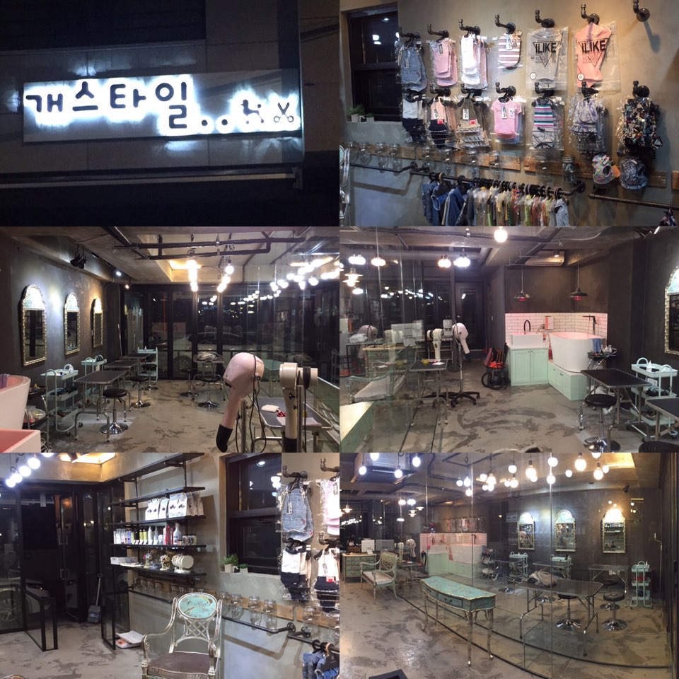 개스타일 대표 이미지