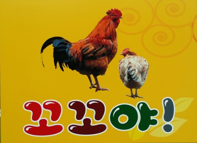 꼬꼬야