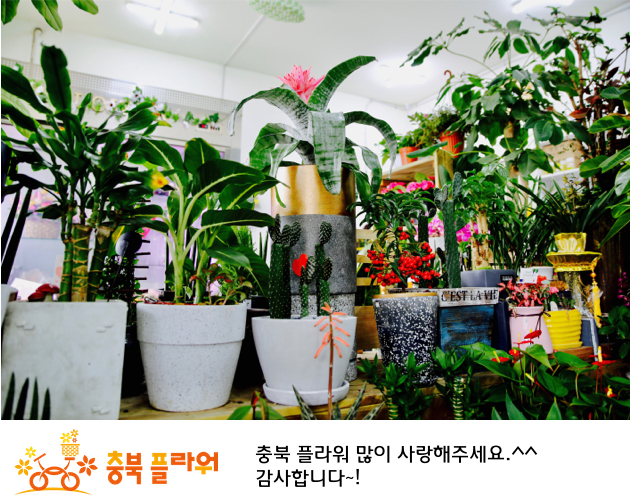 충북꽃플라워