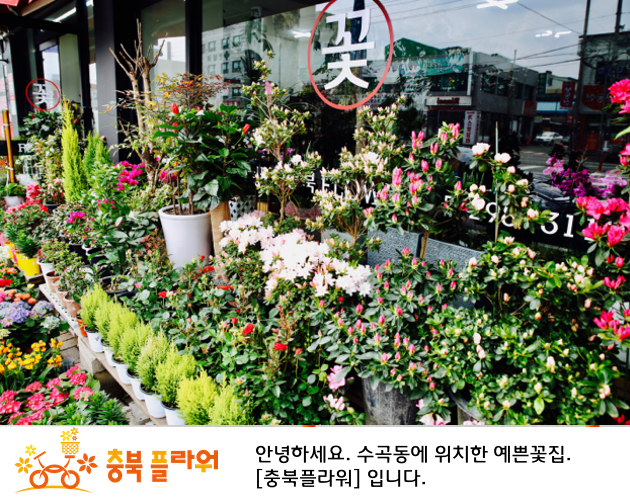 충북꽃플라워