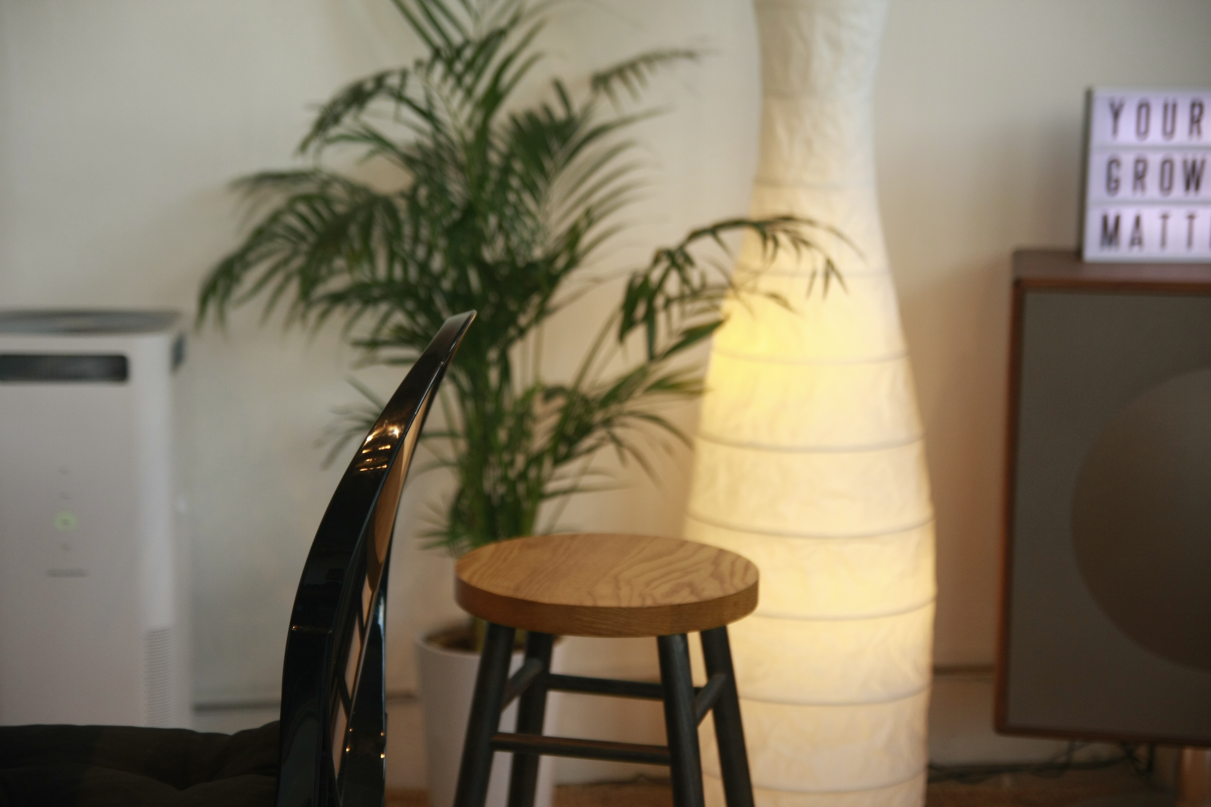 오아시스 덕수궁 대표 이미지