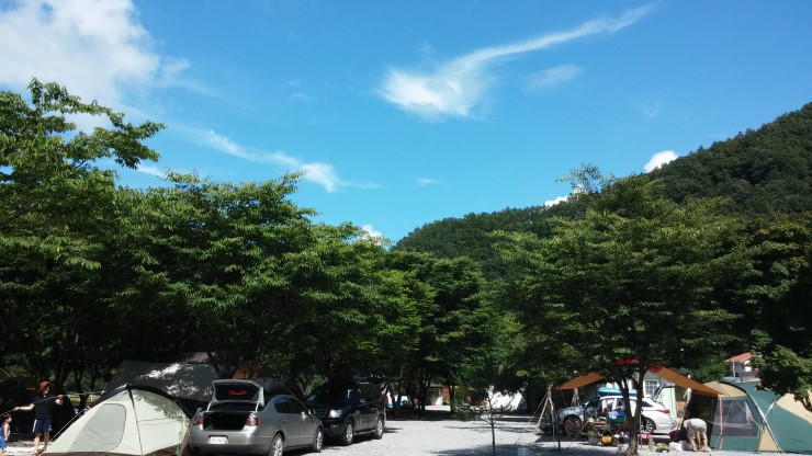 영월계곡 느티별캠핑장