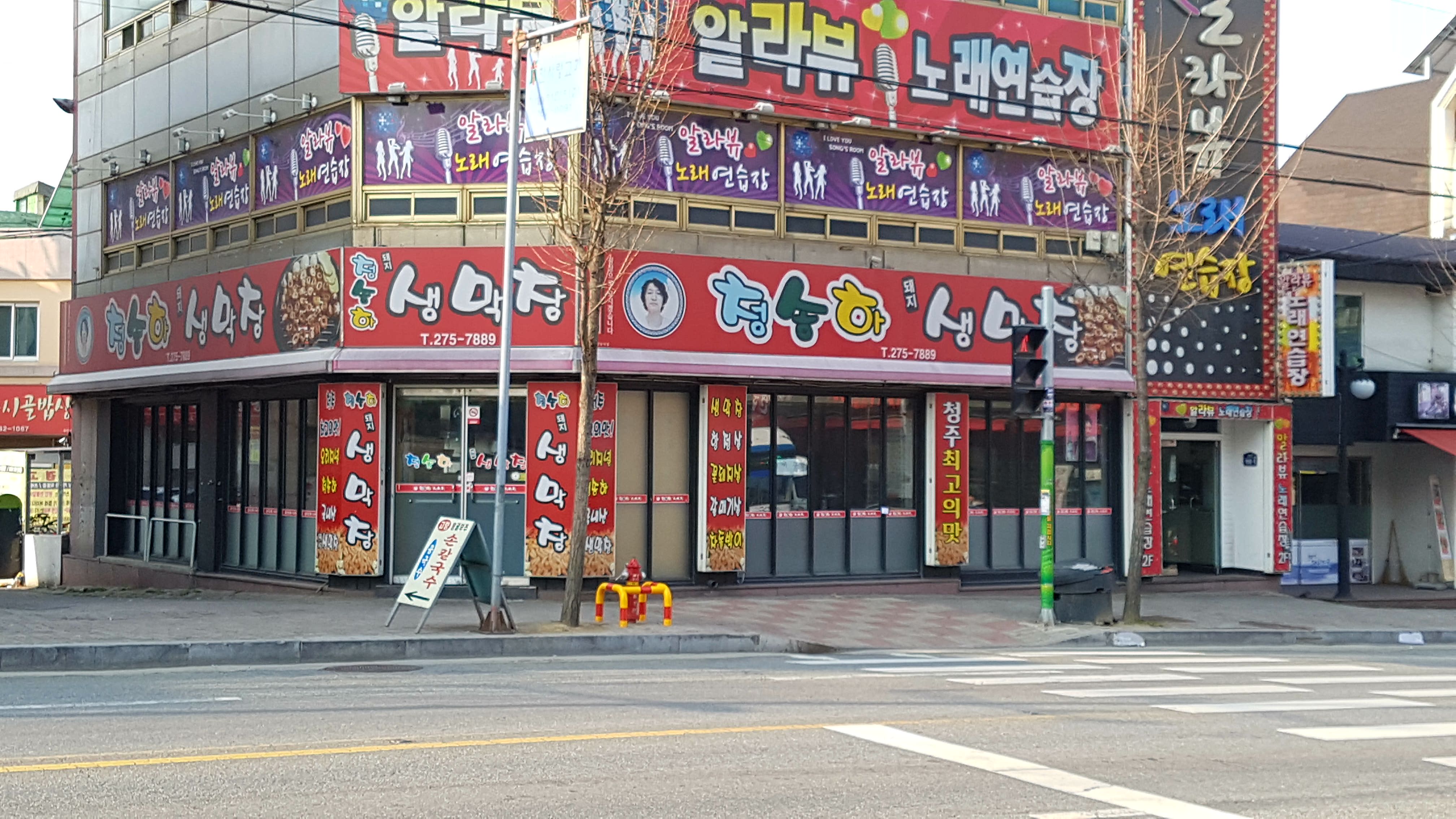 청송하돼지생막창