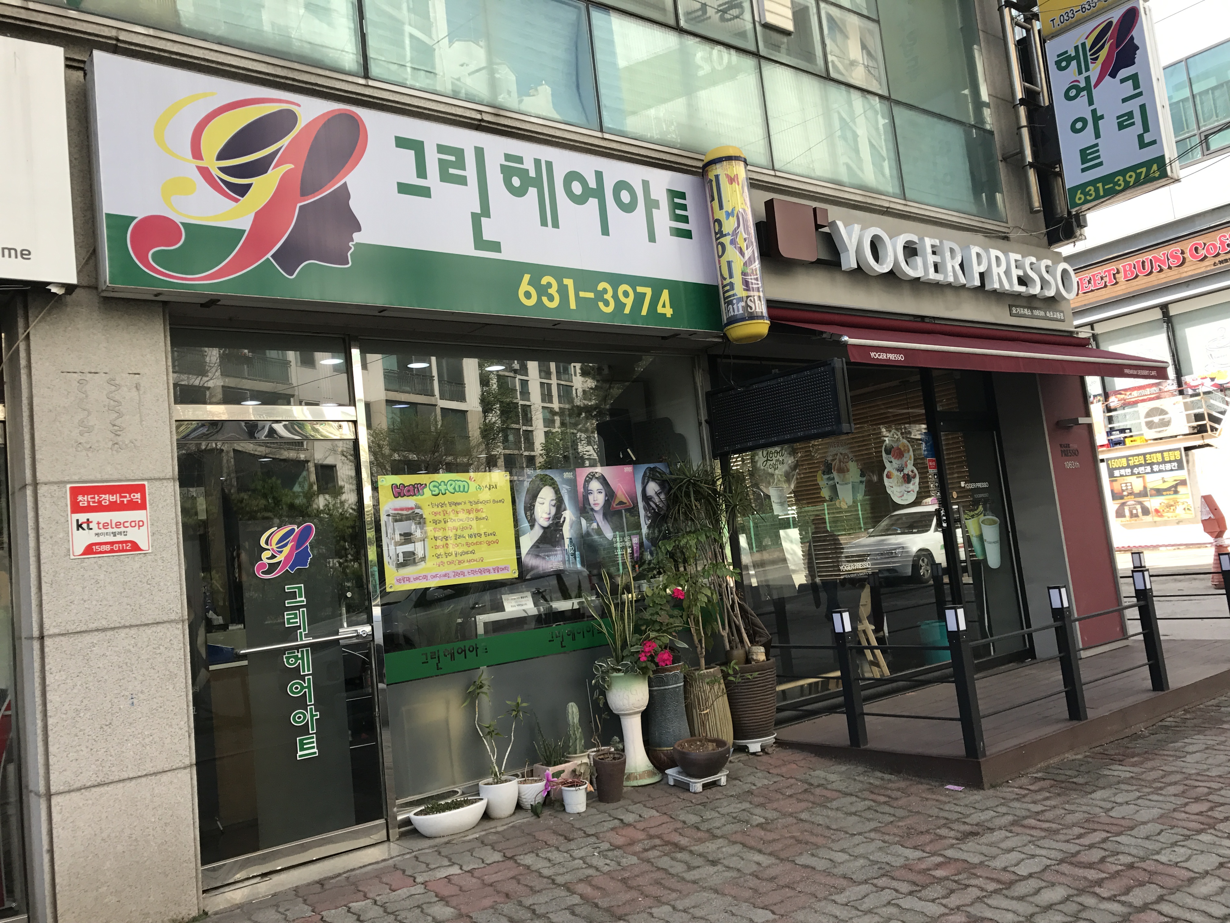 그린헤어아트