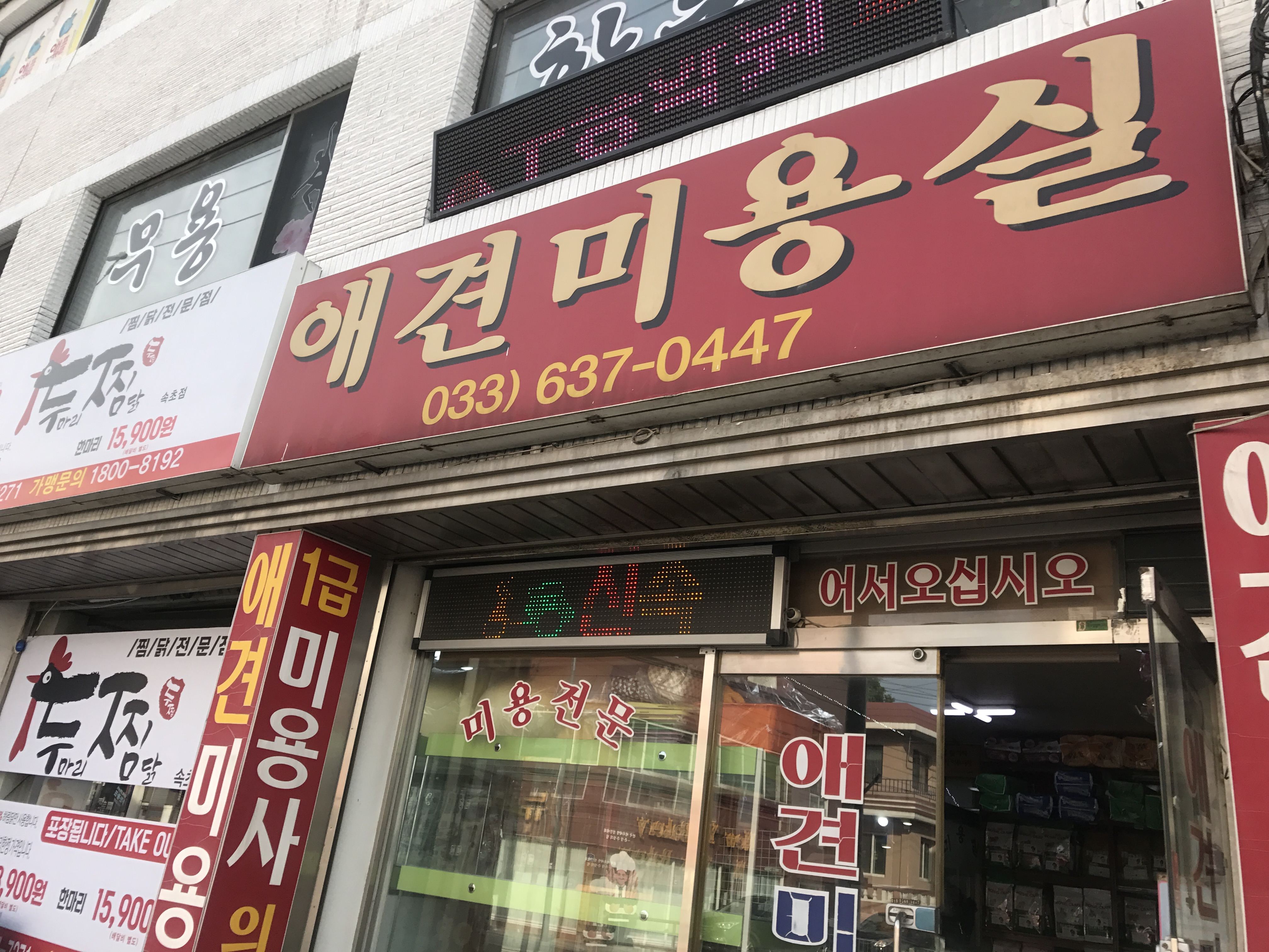 애견미용실 대표 이미지