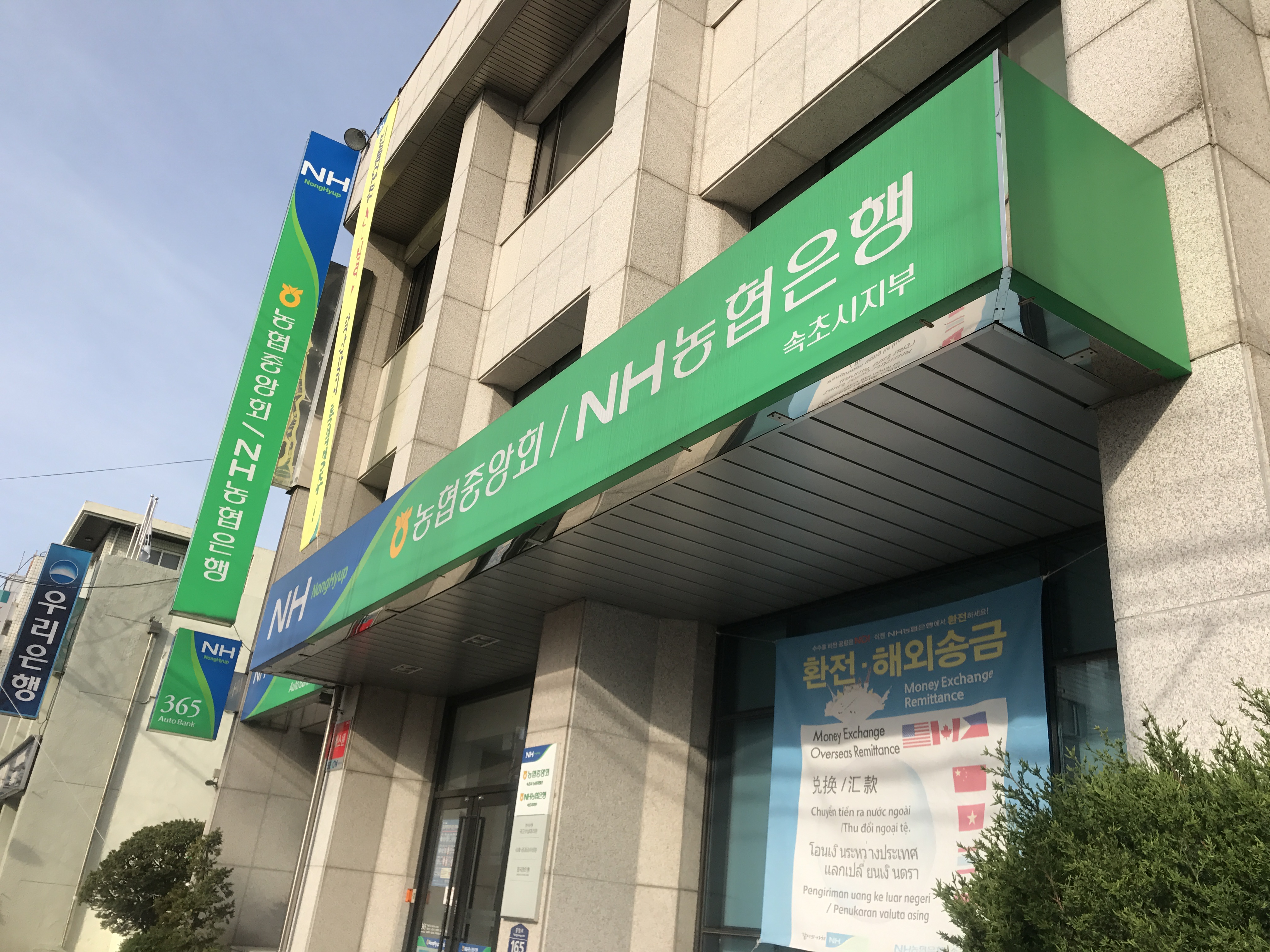 NH농협은행 속초시지부 2