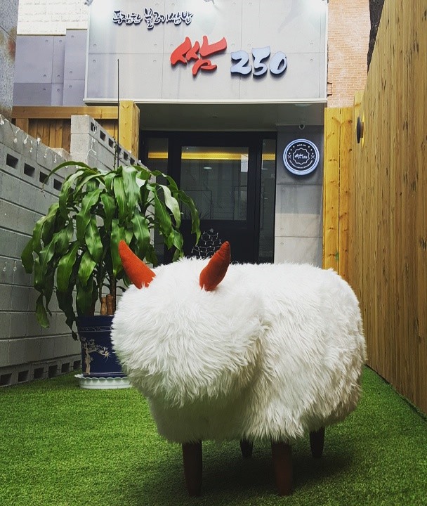 쌈250