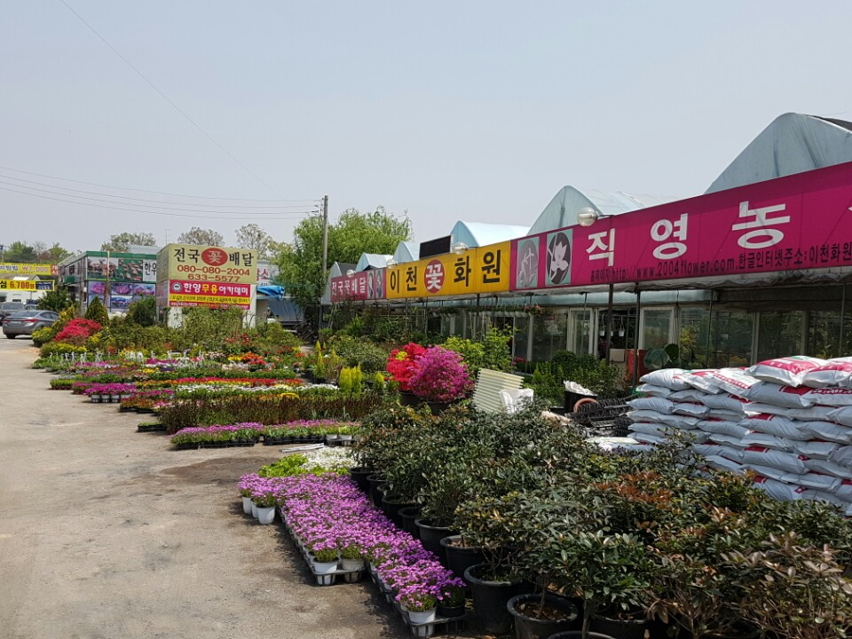이천꽃화원