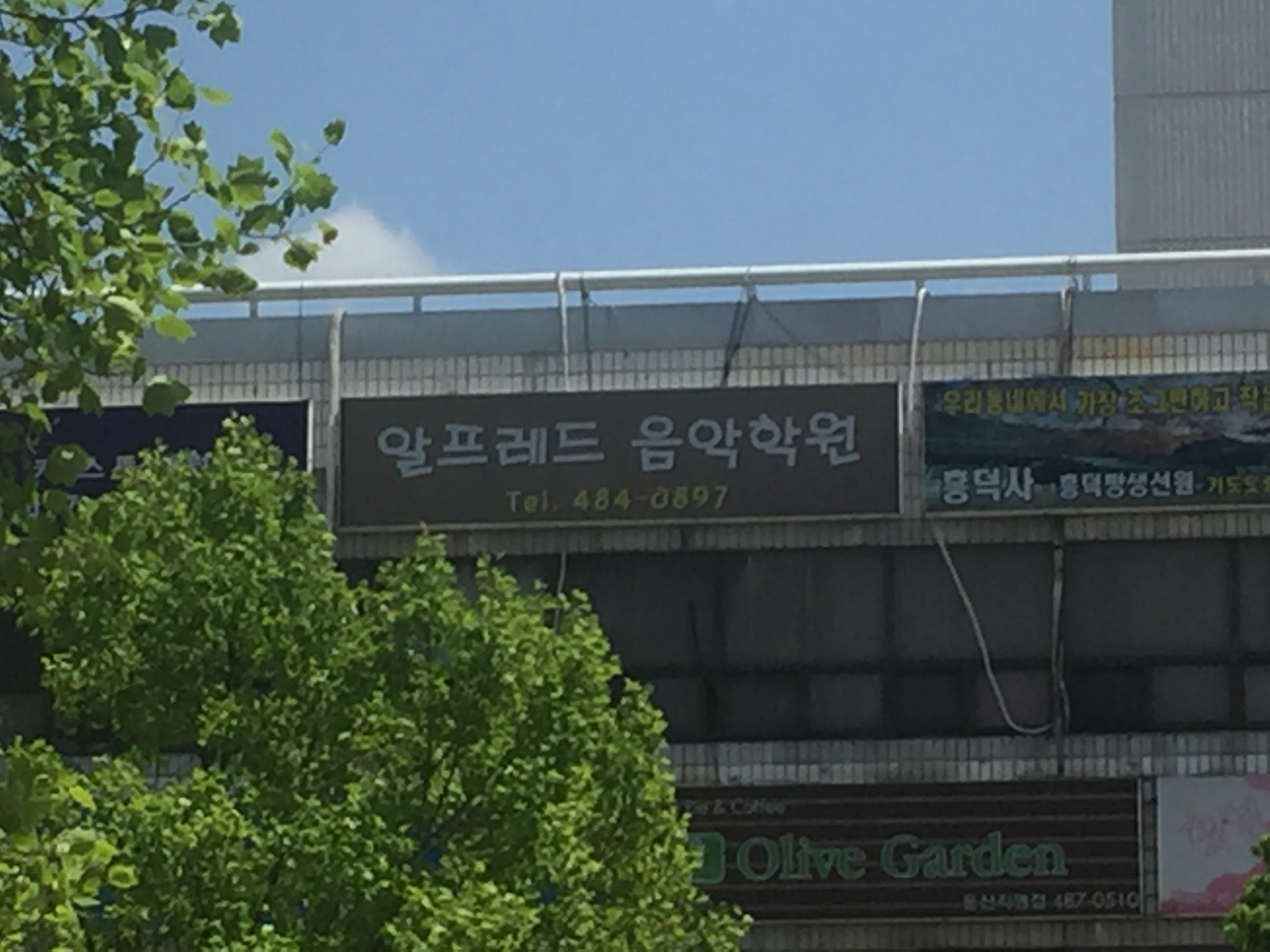 알프레드음악학원