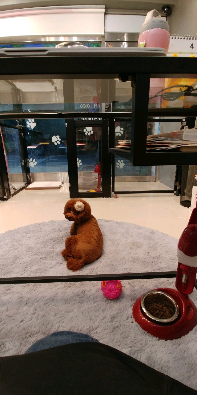 주변 가볼만한 곳