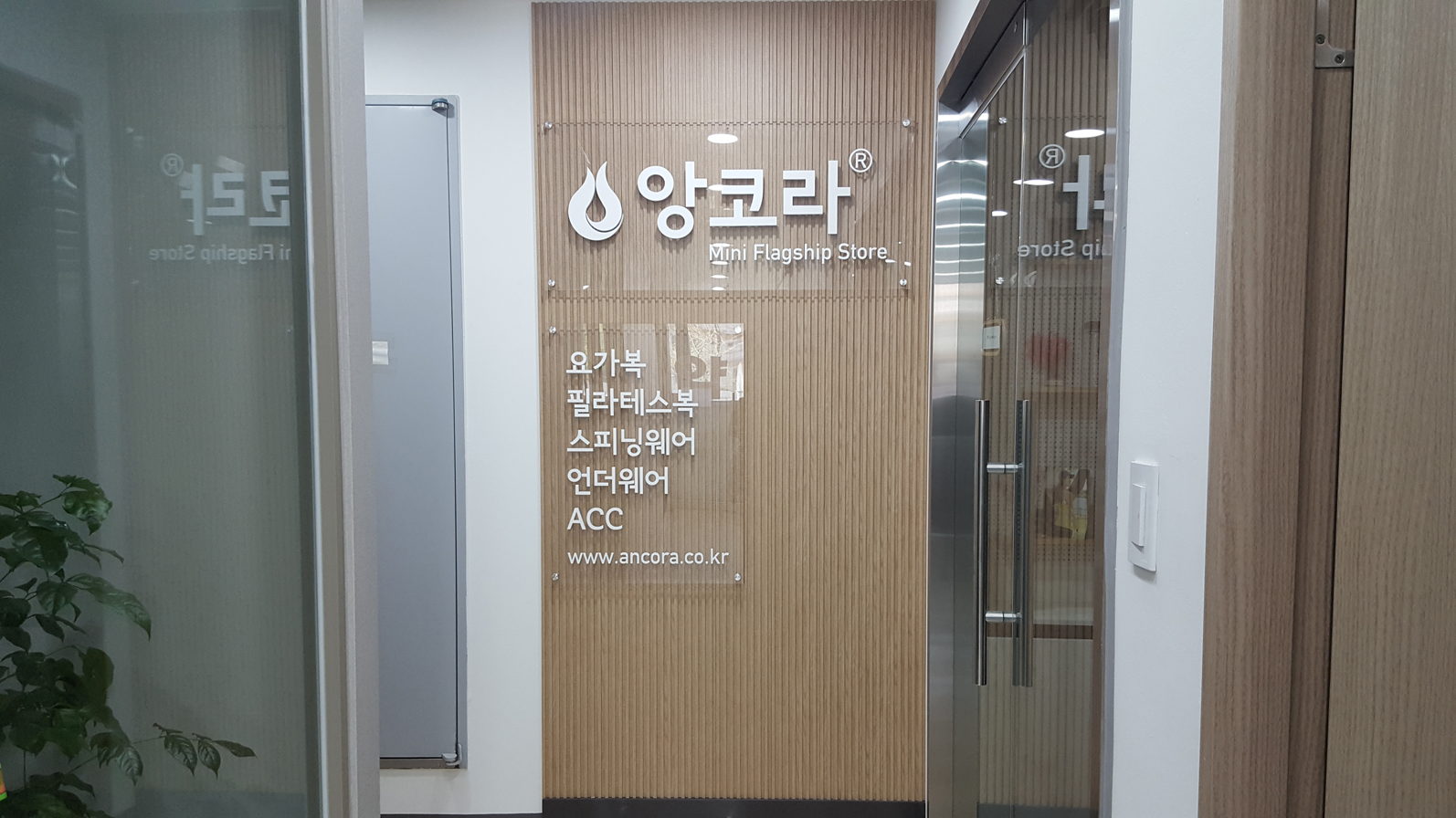 앙코라 대표 이미지