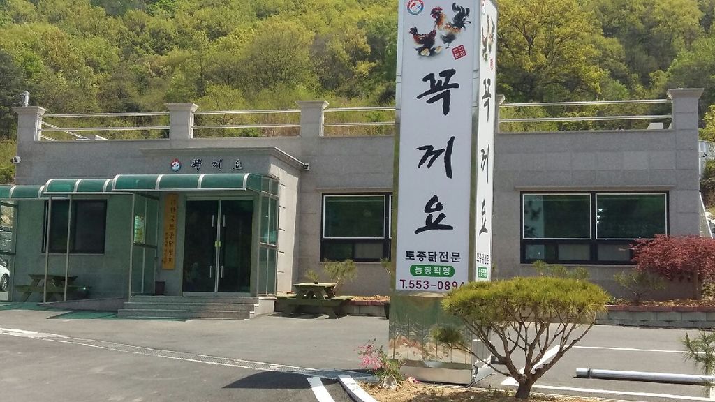 꼭끼요