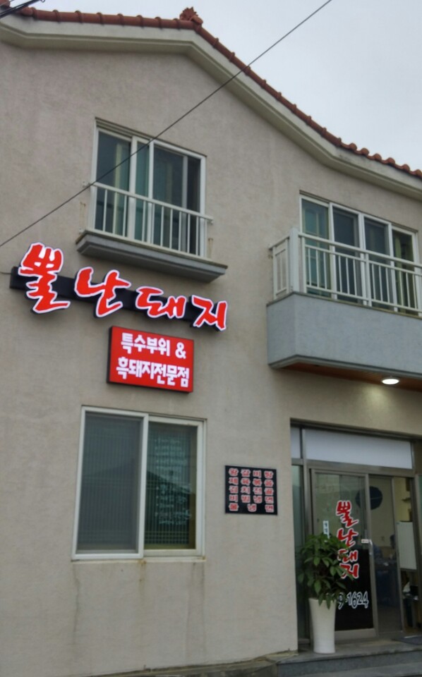 뿔난돼지