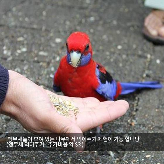 현대여행사