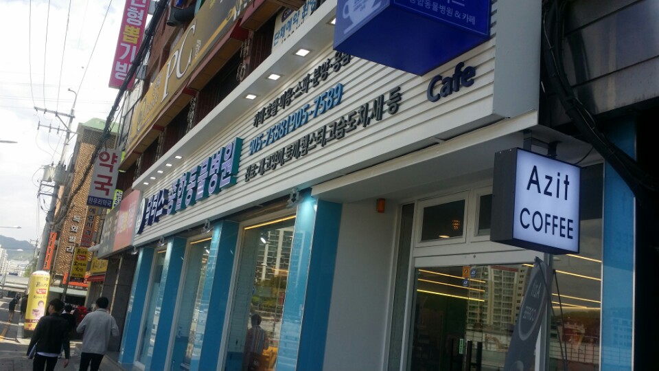 닥터스종합동물병원