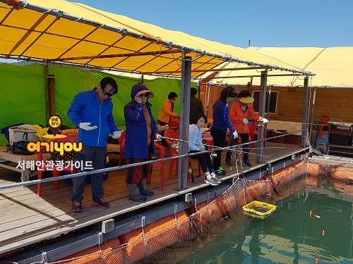 스카이바다좌대낚시