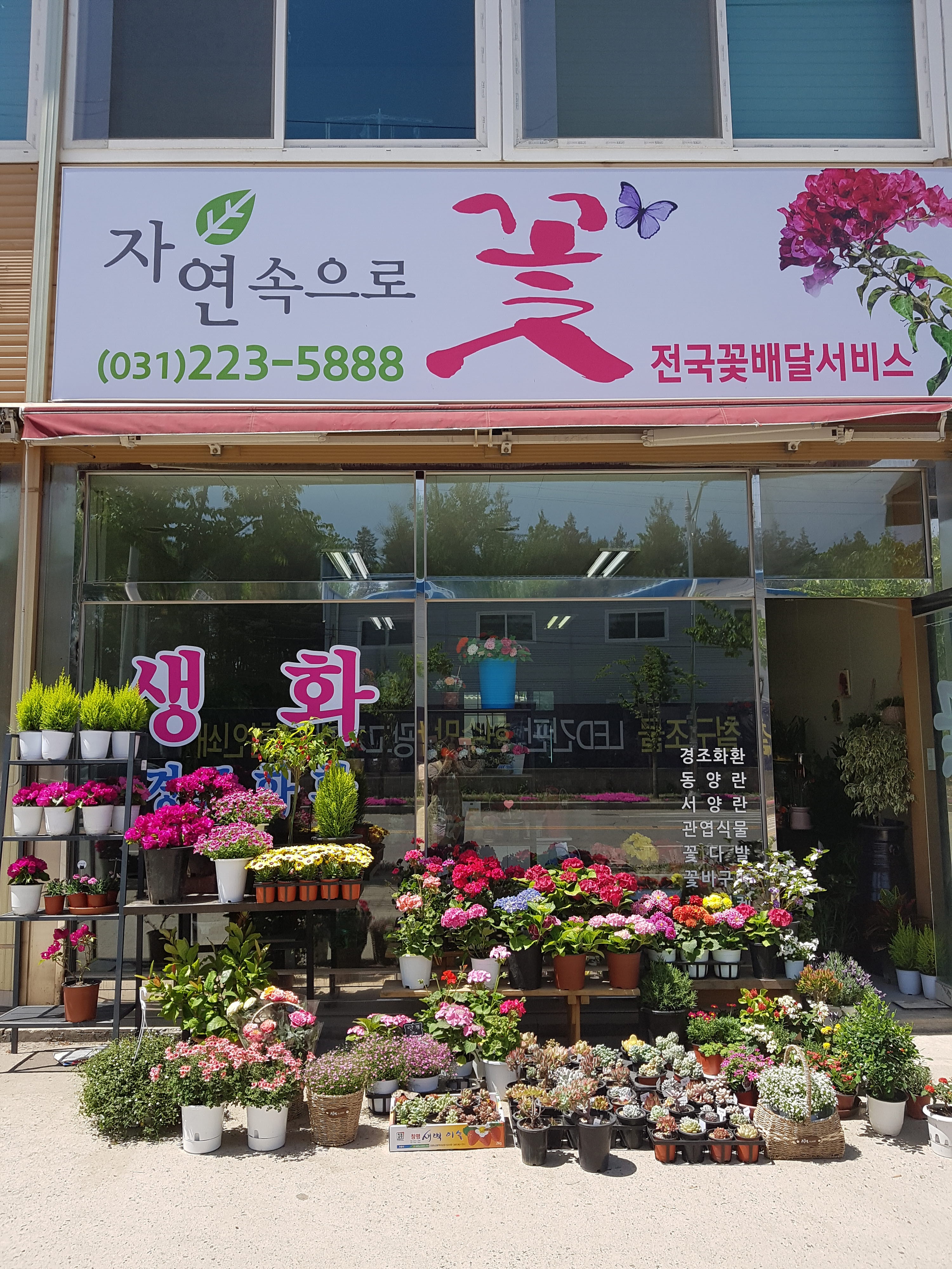 자연속으로