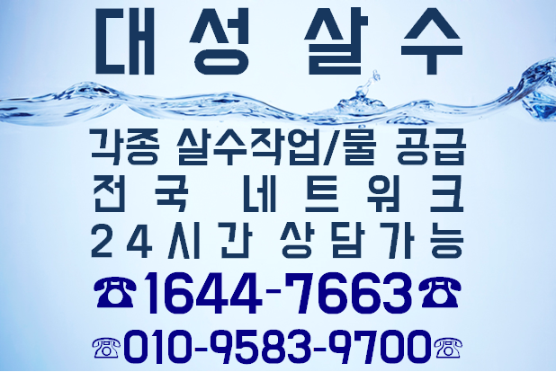대성살수