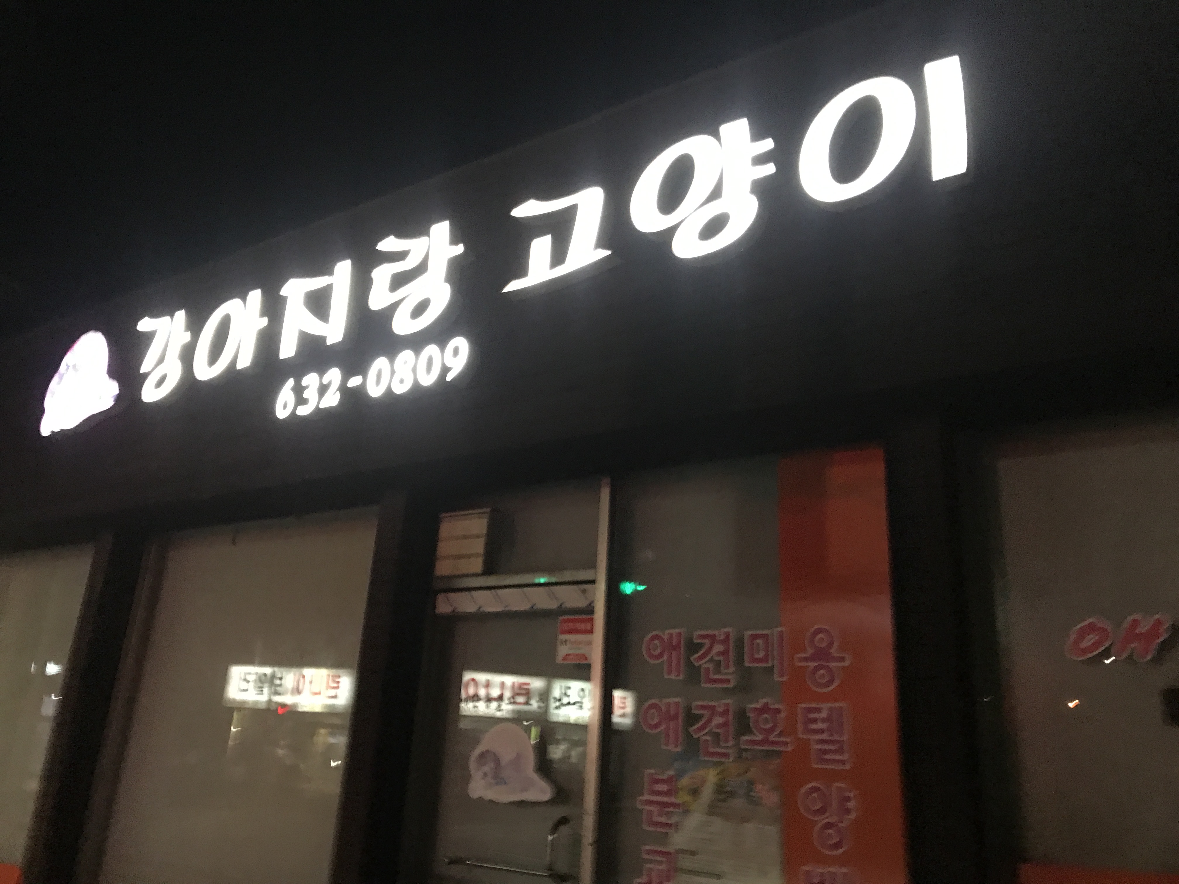 강아지랑고양이 대표 이미지