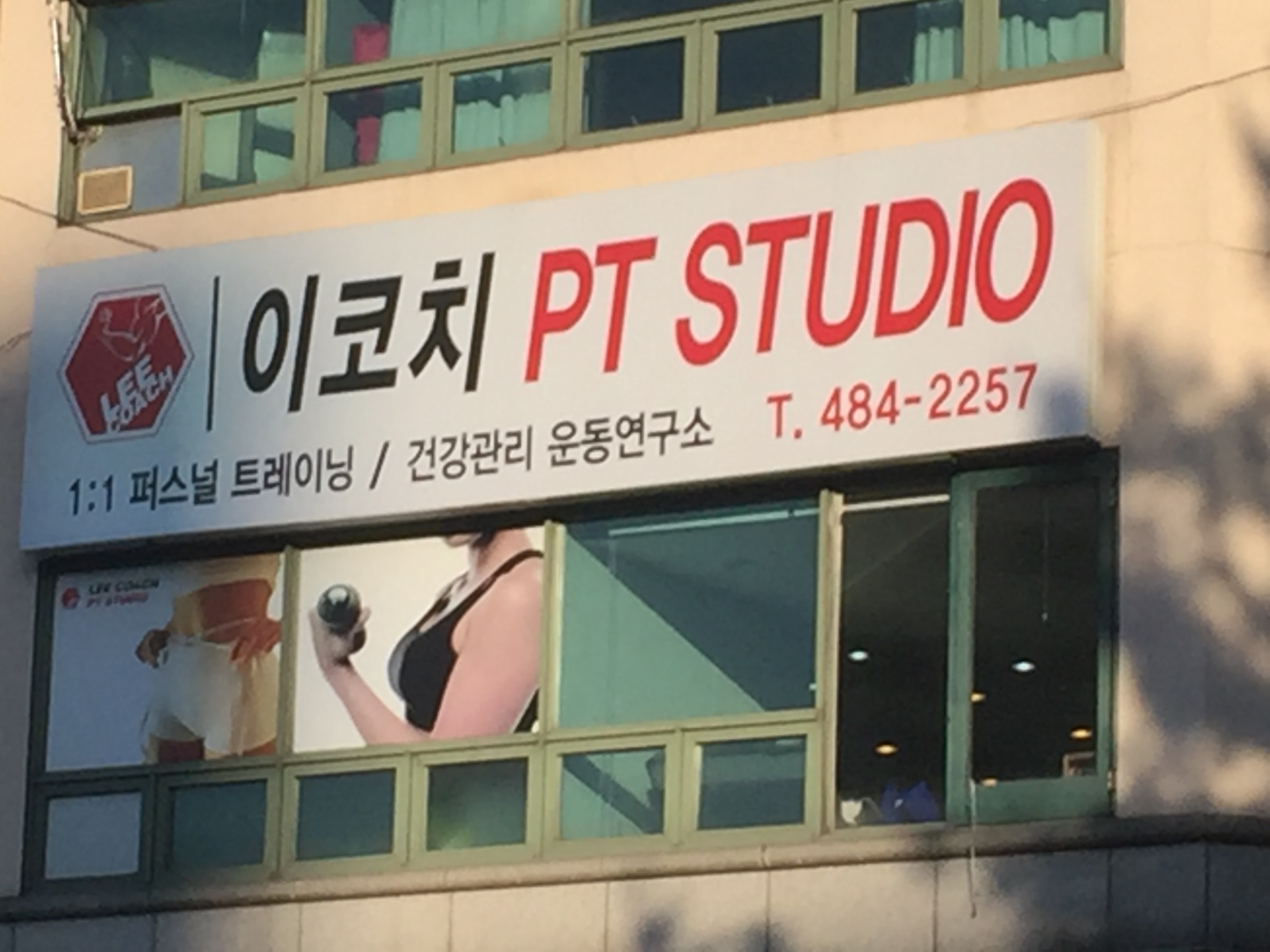 이코치피티스튜디오