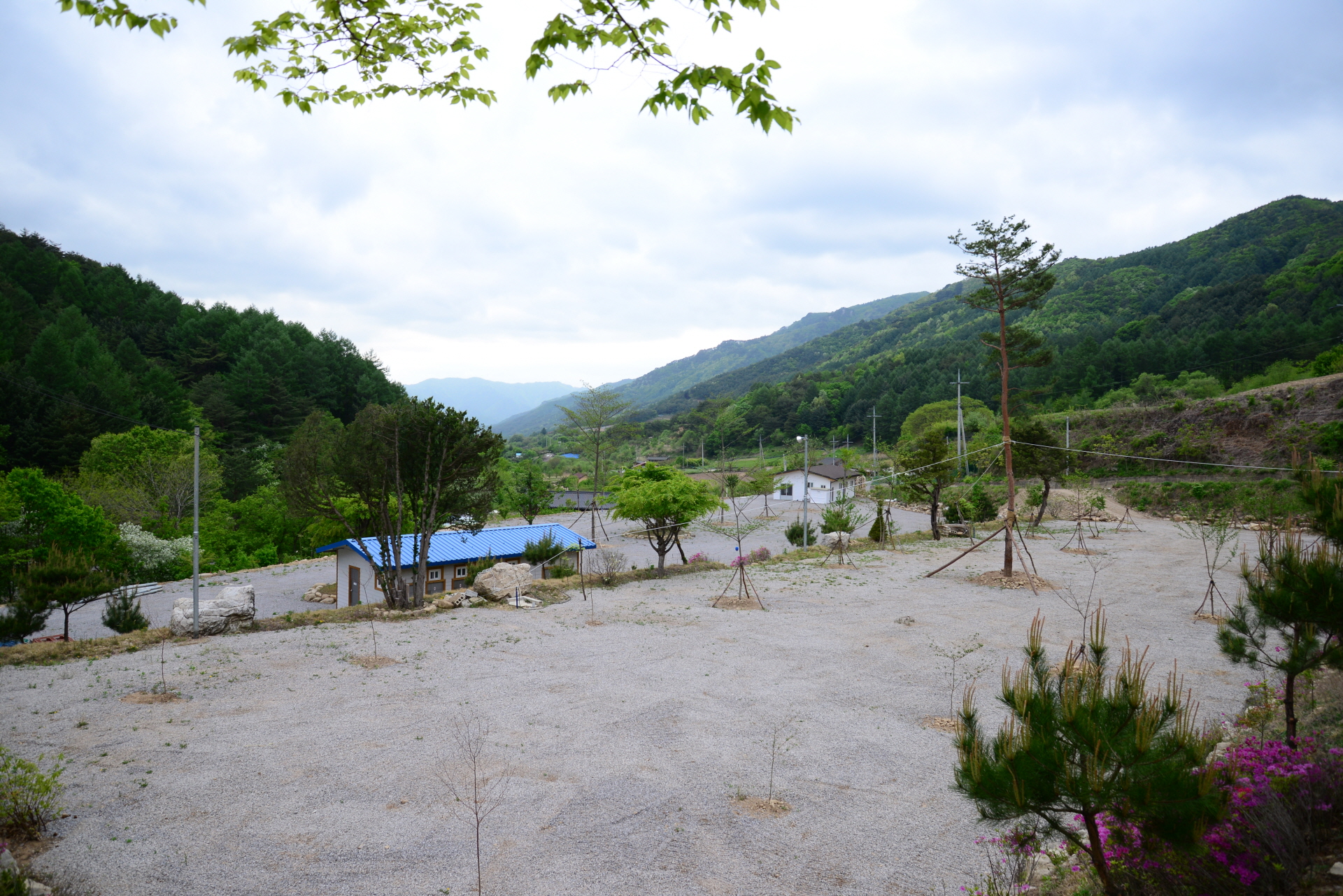 선달산계곡캠핑장