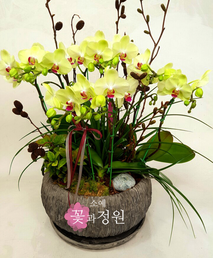 소예 꽃과정원