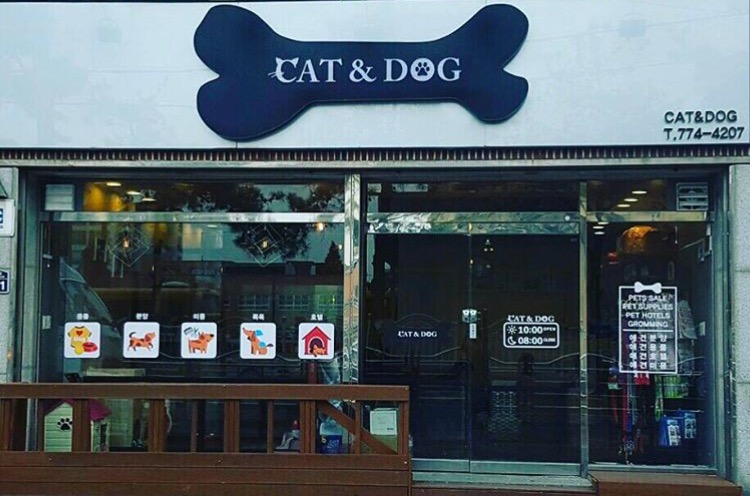캣앤독